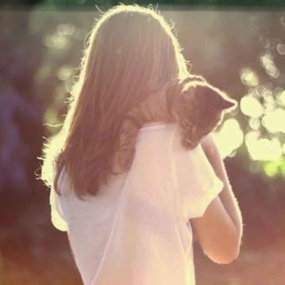 Meet your Posher, Meng